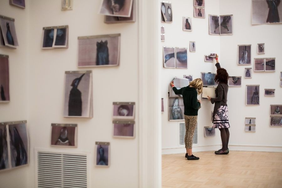 Photo courtesy of Jonathan Vanderweit)Ann Hamilton, renowned for her large-scale installations, scanned animals from the Burke Museum to create the images now in the Henry Art Gallery. Visitors are invited to tear pages from the wall, with the knowl…