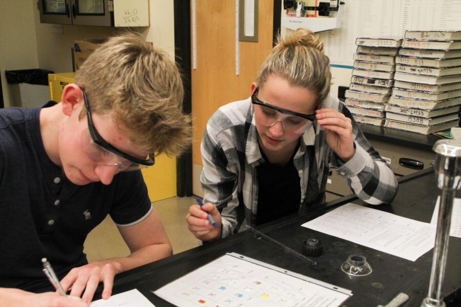 Olivia KnollStudents work on a lab in Dr. Moody's chemistry class.