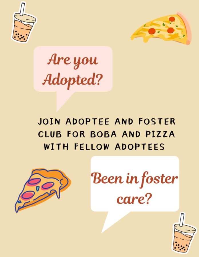 Adoptee Club colored infographic