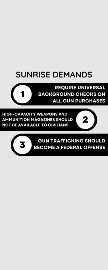 The Sunrise Club wrote a letter to congress members, and in the letter they listed certain demands to increase safety in schools and to reinforce gun control.