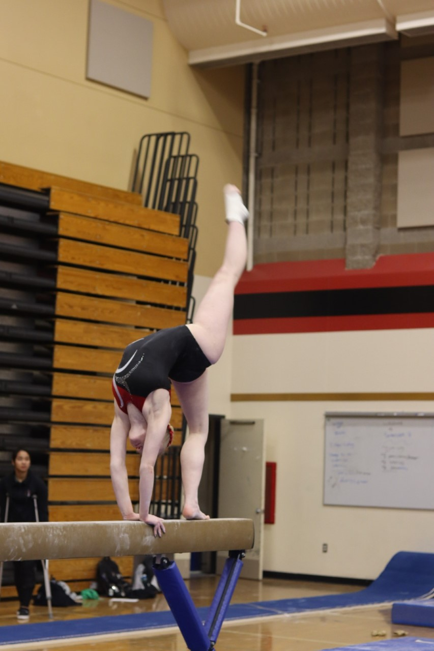 A balancing act: a gymnast’s story – Talisman