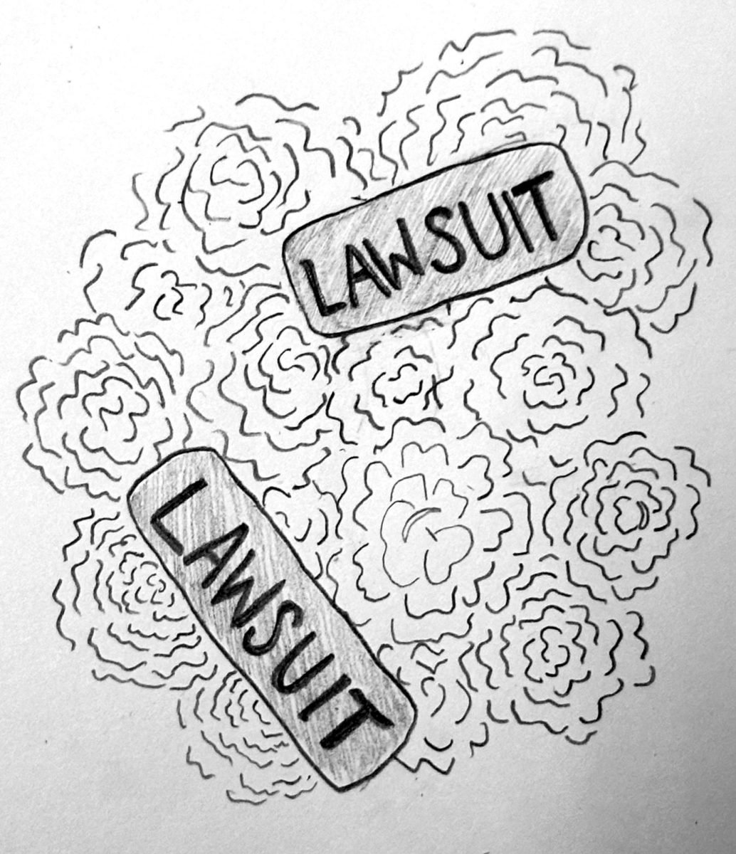 Lively made a civil rights complaint and eventually filed a lawsuit against Baldoni, Wayfarer and its CEO Jamey Heath for sexual harassment and the intentional and strategic destruction of her reputation. 
